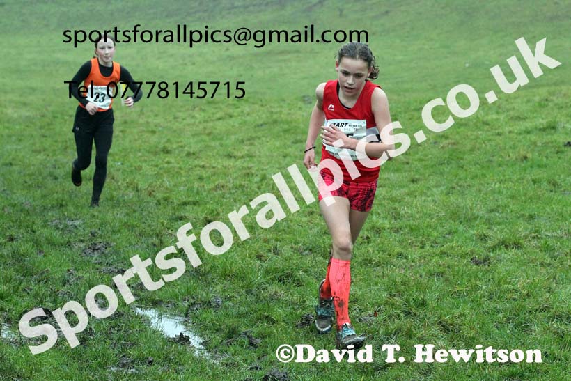 Girls under-13s, NECAA Junior Cross Country Relays, Thornley Farm, Peterlee, Saturday, December 12th. Photo: David T. Hewitson/Sports for All Pics